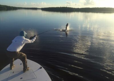 Tarpon Fly Fishing, Everglades Fly Fishing Guides | Book With Salty Bird Fishing Charters